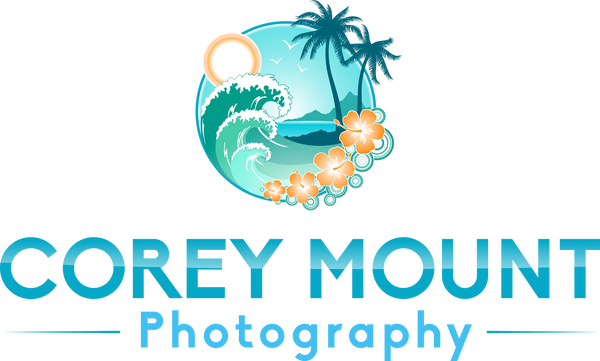 Elevate Your Visuals: ABOVE MAUI's Drone Photography & Videography Packages